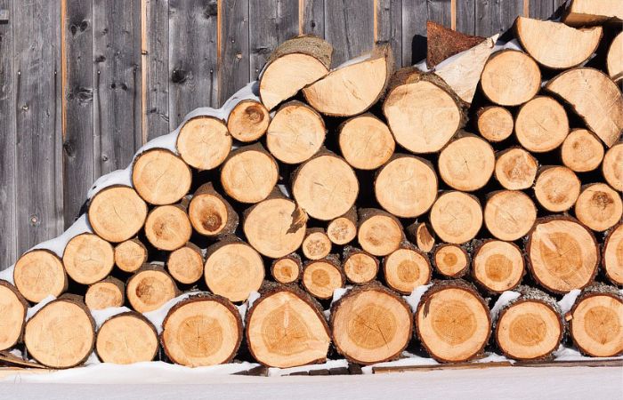 Một vài lưu ý quan trọng cần nắm trước khi xuất gỗ sang EU